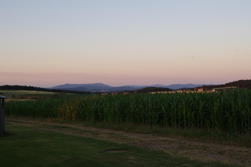 Appartamento Holzhaus Lugerhof Roding Esterno foto